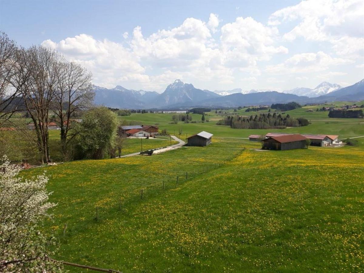 Panoramablick Heimen Homestay Hopferau